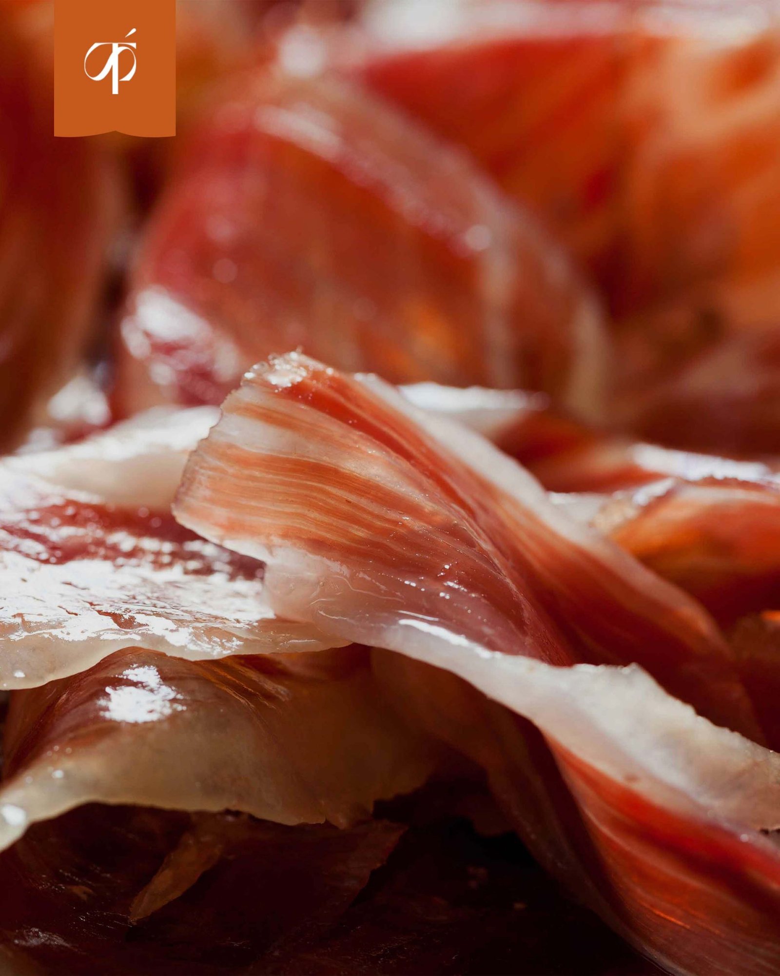 Jamón Ibérico de Bellota 100% Brida Negra