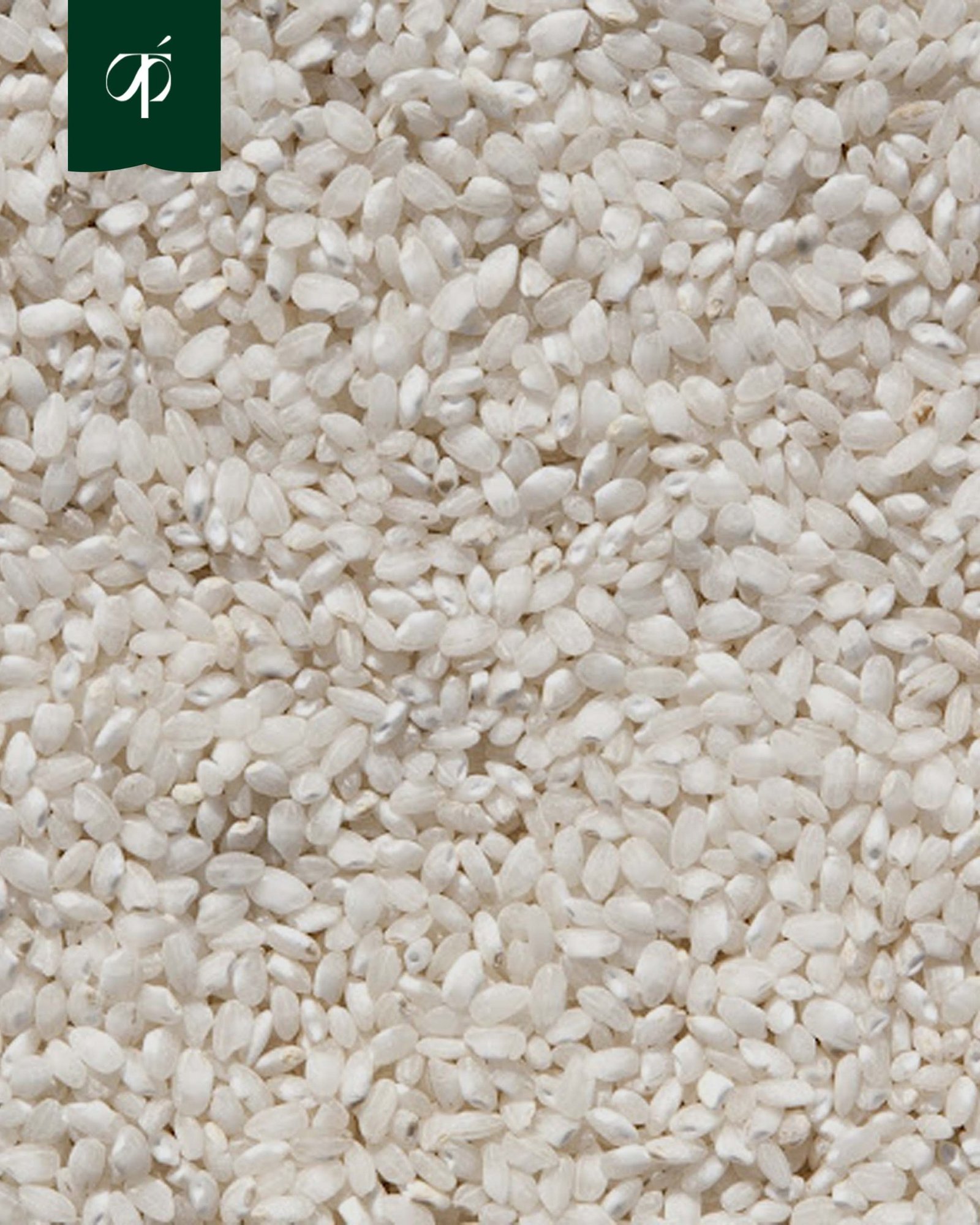 Arroz Carnaroli en Bolsa 5kg