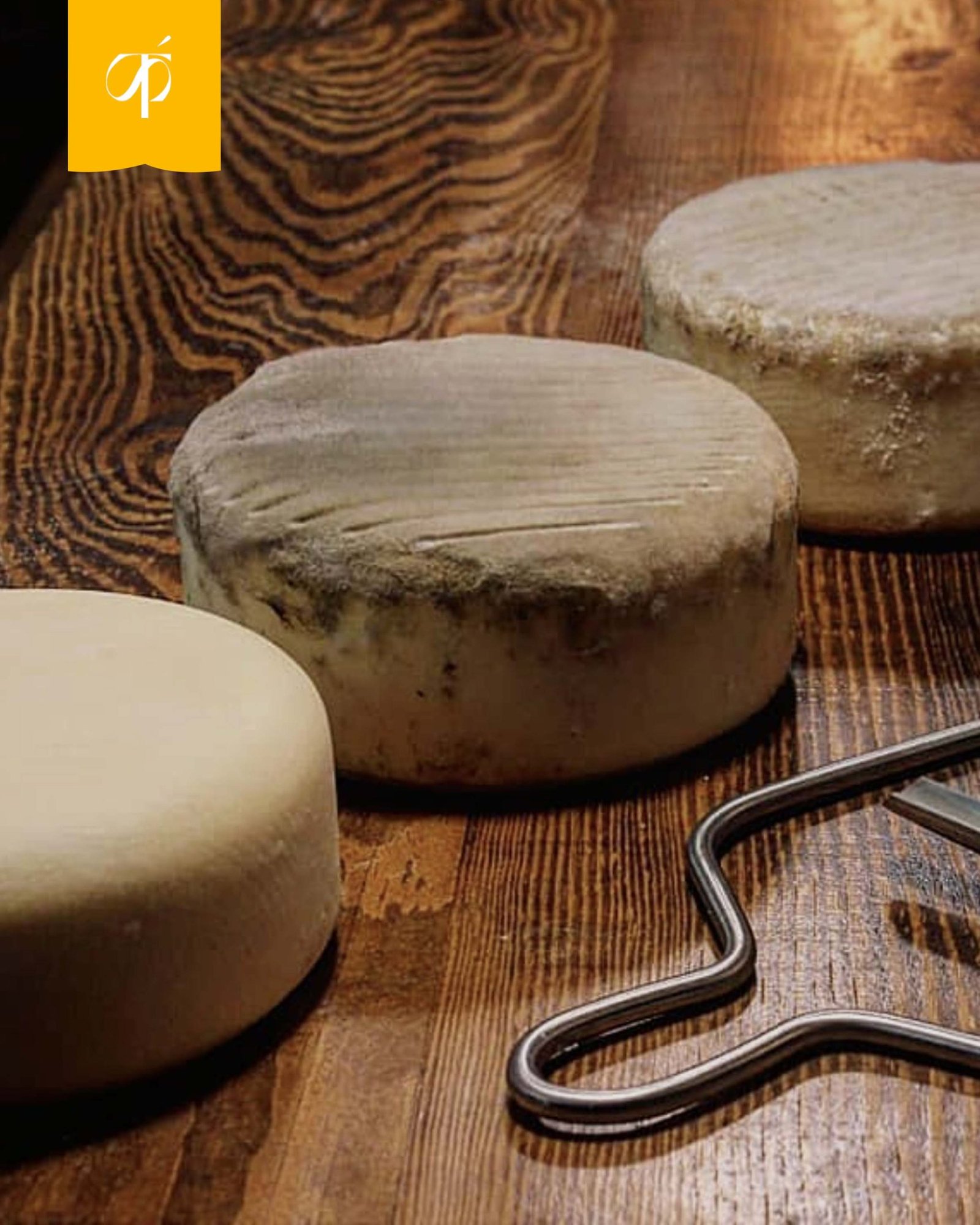 Queso Artesano Miguel Guillén 600g