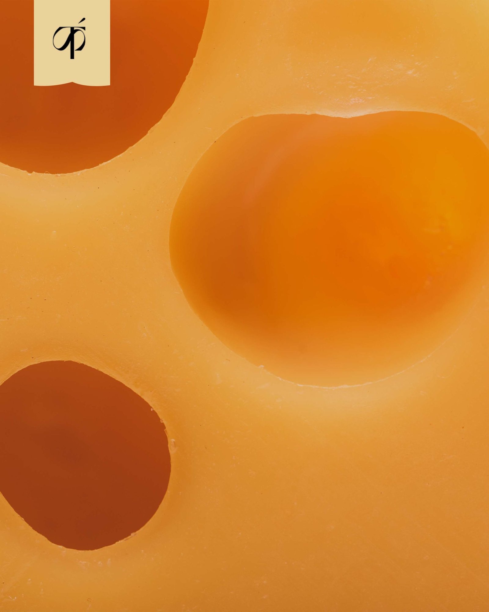 Queso Cheddar Naranja en Lonchas 20g (90x90 mm)