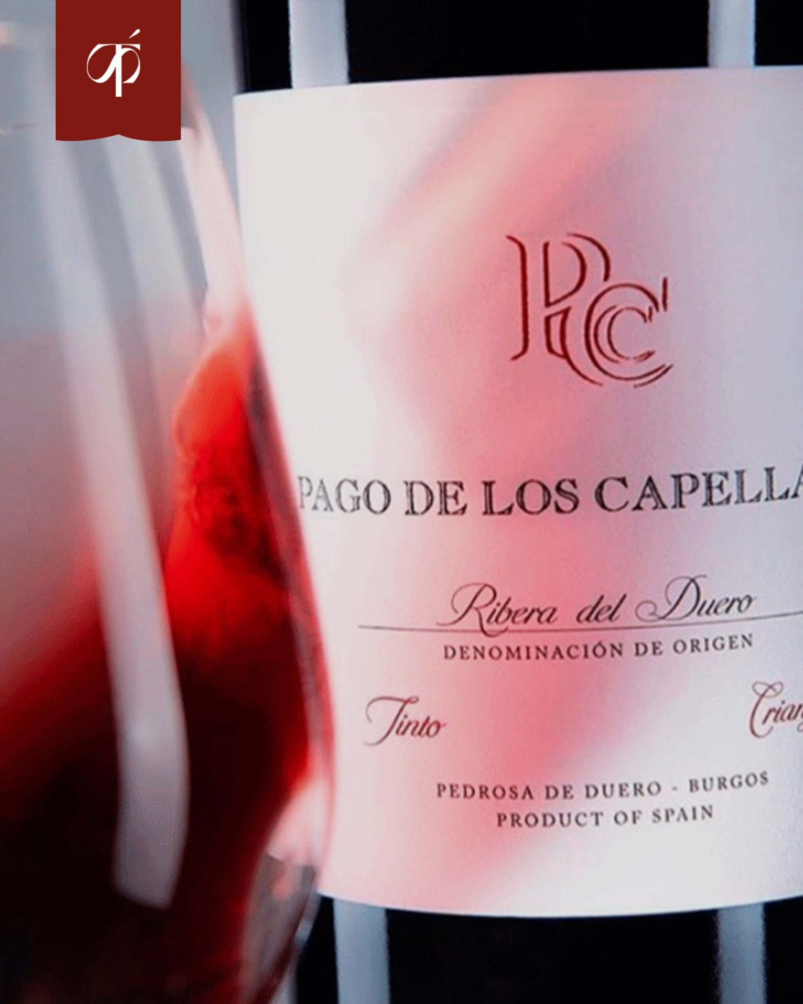 Vino Tinto Crianza 2021